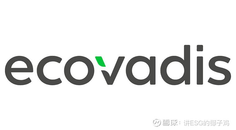 ecovadis官网