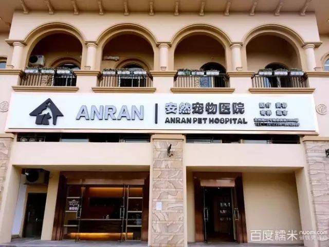 附近的宠物医院24小时服务的