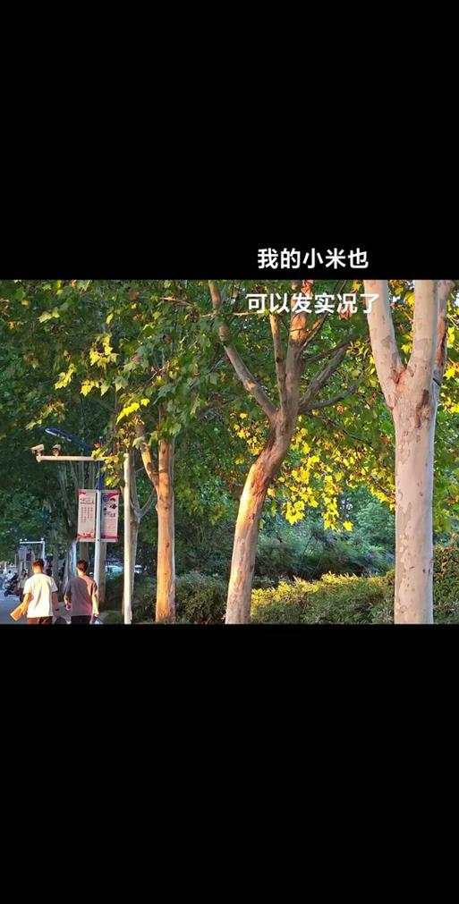 小米拍的慢动作怎么发朋友圈