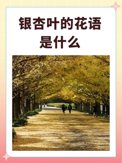 银杏叶代表什么爱情