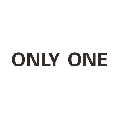 Only One图标包