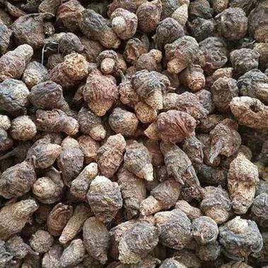 玛卡泡什么酒效果好