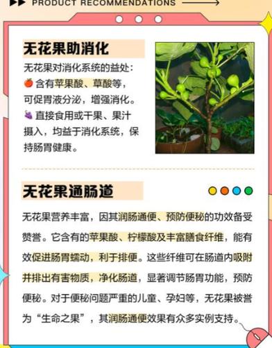 无花果对男性功能主治