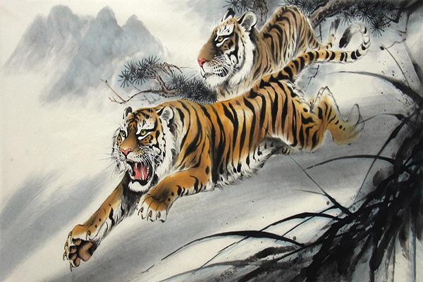 猛虎下山免费观看