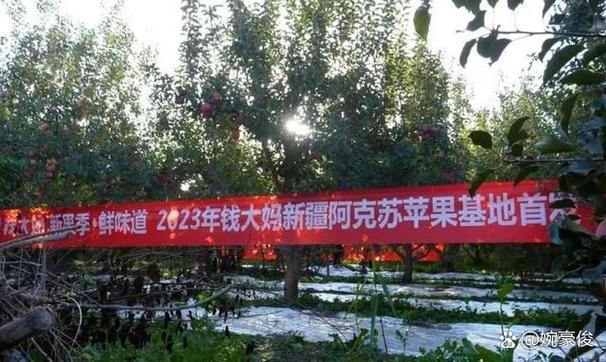 新疆果园基地招工电话