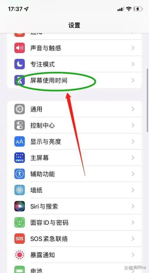 ipad取消家长控制下载应用