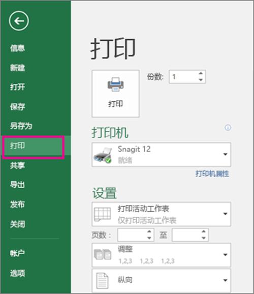 打印预览方式下可以调整页面设置吗