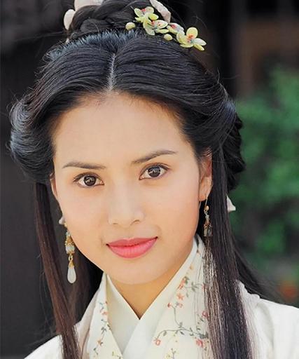 李若彤小龙女王语嫣