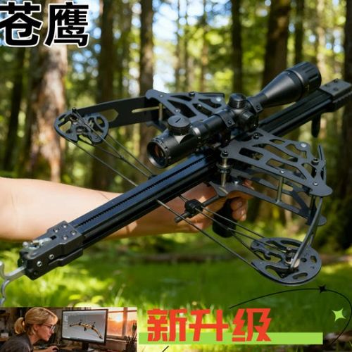 目前两用复合弓哪款最实用