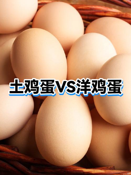 蛋壳多久被土分解