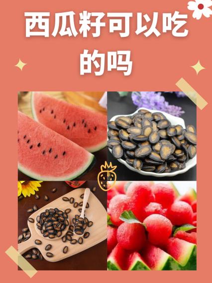 有哪些种子可以吃