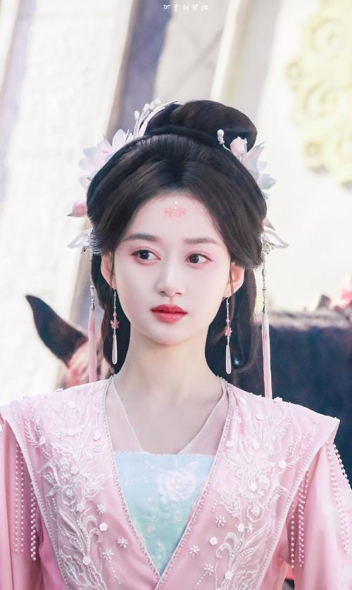 莲花梦迟txt百度云