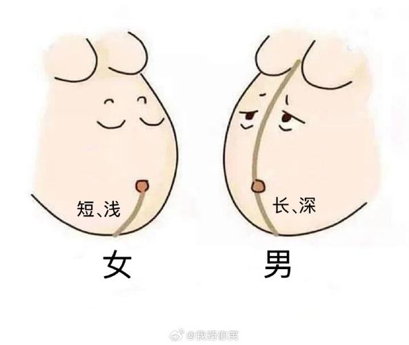 男孩女孩怎么判断最准确