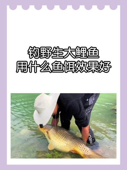 咬钩是什么意思