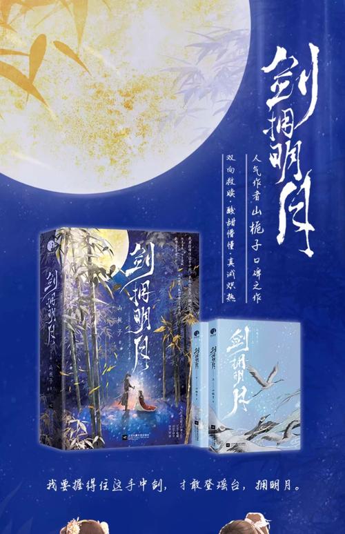 长风映月小说
