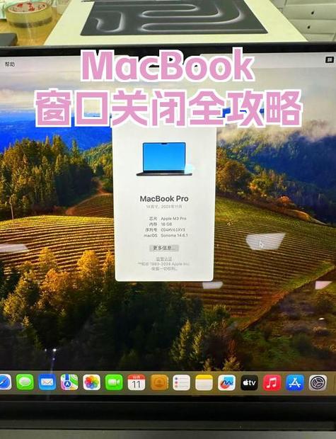 苹果左上角模糊怎么关闭