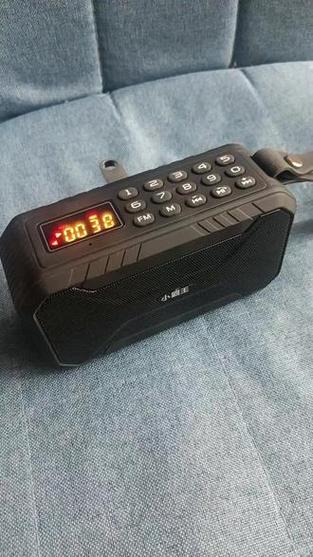 小霸王收音机D100