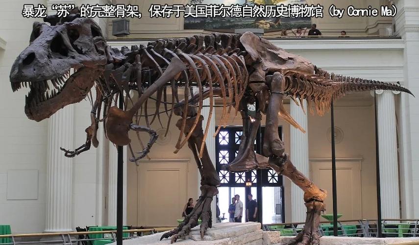 大暴龙生成器3.0截图3