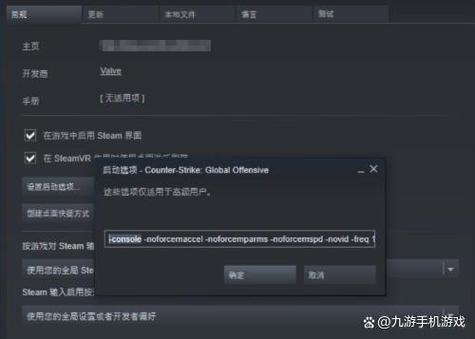 csgo控制台打不开怎么回事