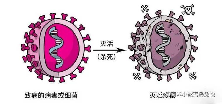 不能用于人工培养病毒的方法截图3