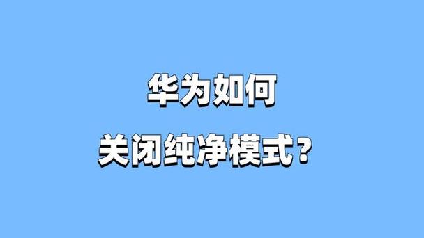 纯净模式开关没有了截图3