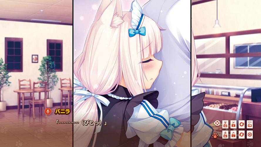 猫娘乐园是galgame吗