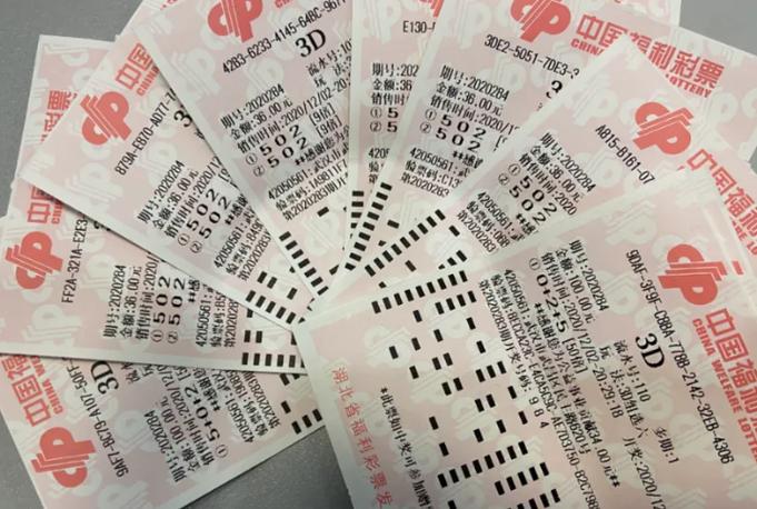 3D必中双飞