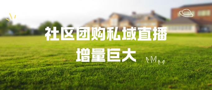 社区团购会消失吗