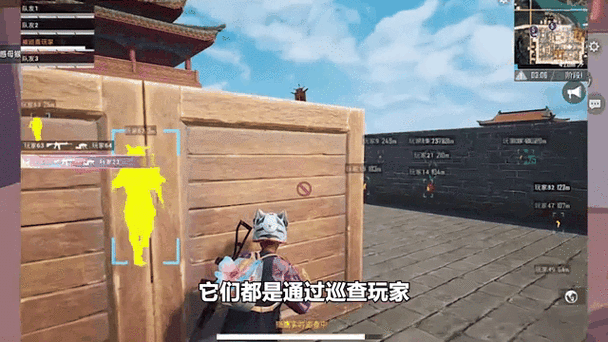 和平精英巡查员的作用