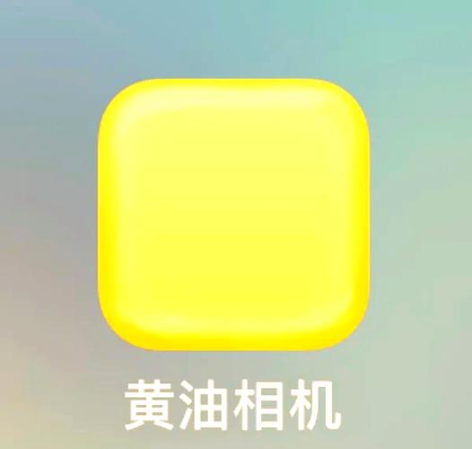 黄油相机下载需要付费吗