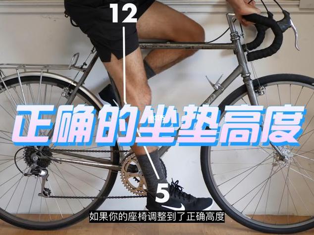 公路车座椅高度