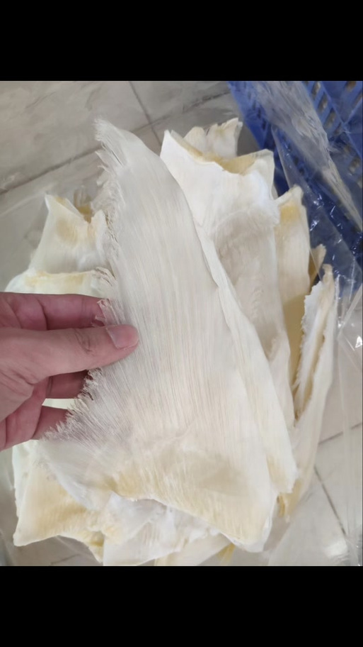 斗鱼100鱼翅等于多少钱