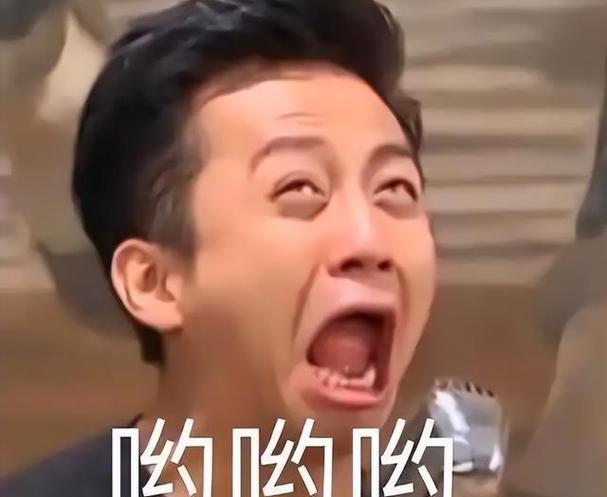 邓超看出来了又怎么样表情包