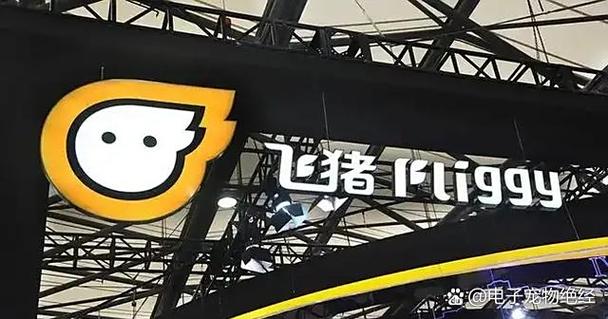 飞猪免费加速在哪
