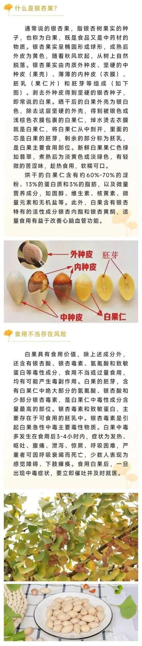 银杏果吃了有什么好处