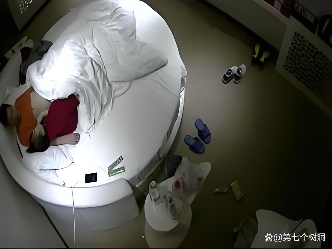 自查酒店摄像头截图3