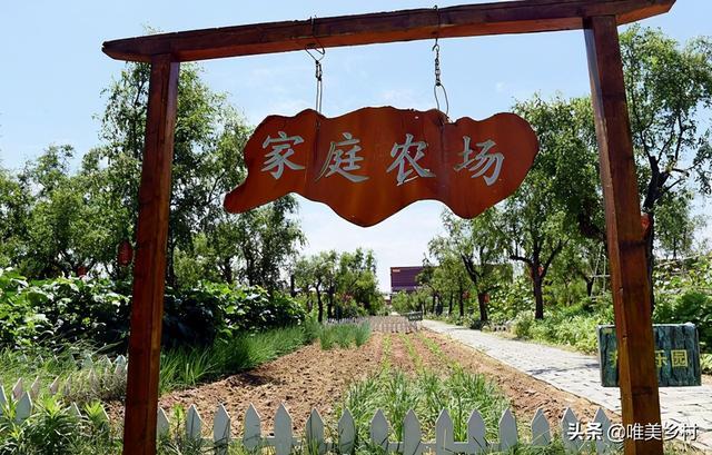 全国家庭农场
