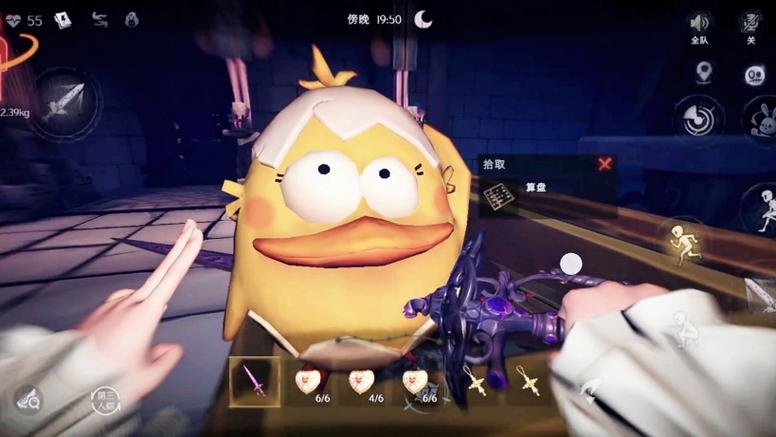 丑丑鱼是什么蛋组