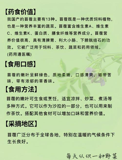 苜蓿草的营养价值