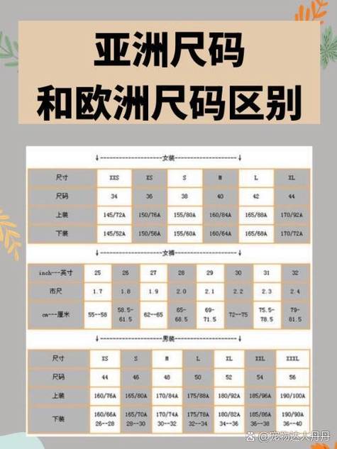 欧洲尺码和亚洲m码的区别