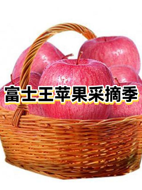 截图王苹果版免费