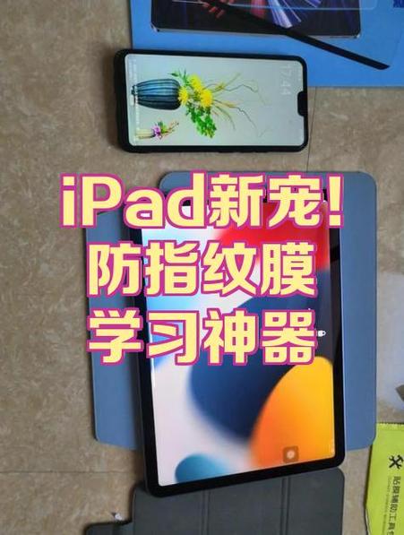 ipad两指缩放功能怎么开启