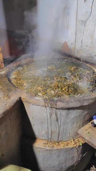 煮猪食叫八哥吃饭视频