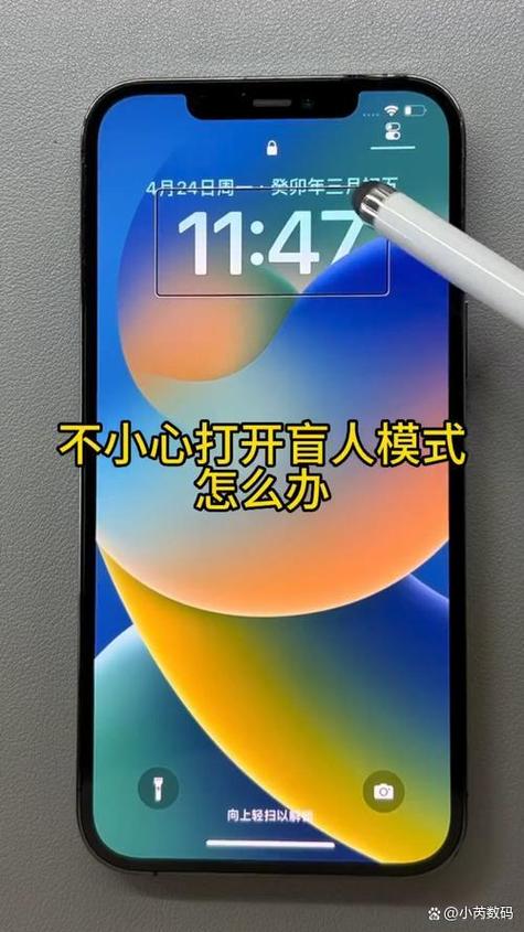 如何打开苹果强制关闭盲人模式截图3