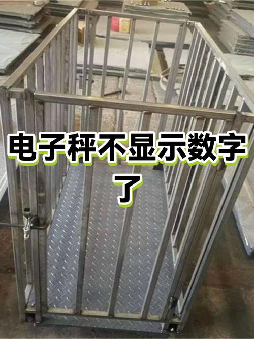 电子秤有电但不显数字什么原因