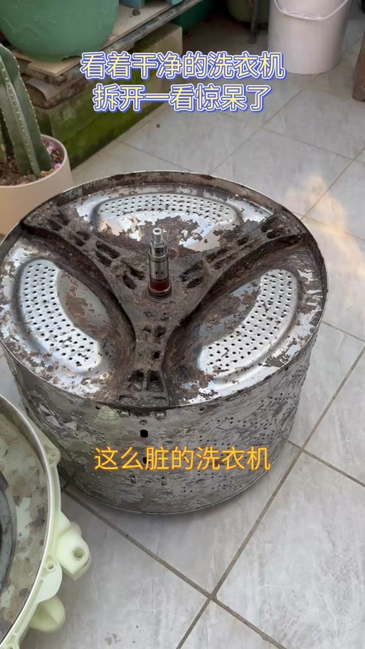 洗衣机里有小褐色碎片是什么