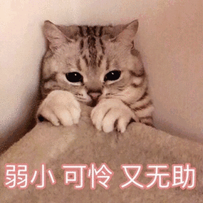 微信可怜的表情是哪个