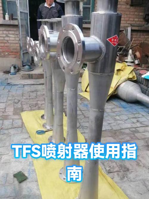 TFS的中文意思