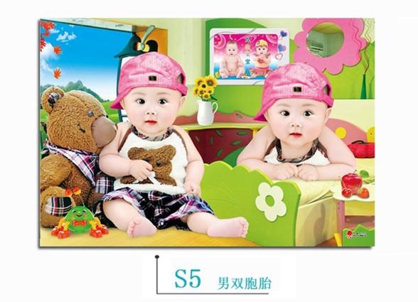有一对龙凤胎的动画片