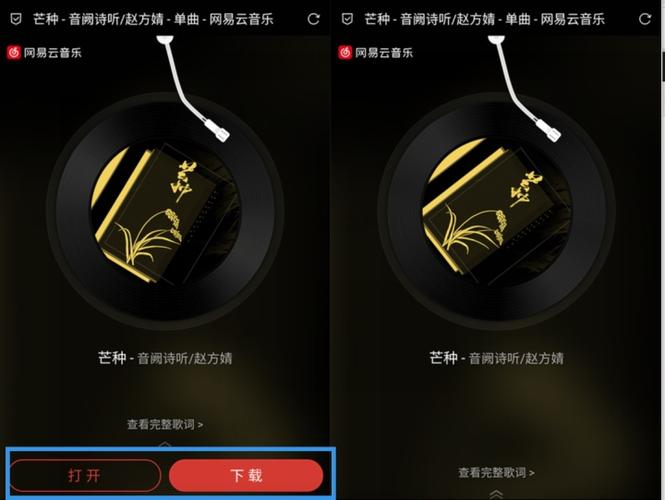 alook视频下载插件